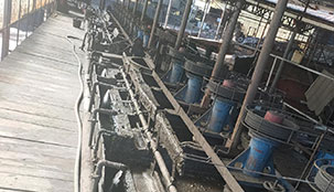 1000 t/d Copper-Lead-Zinc-Gold-Silver Ore Beneficiation Project