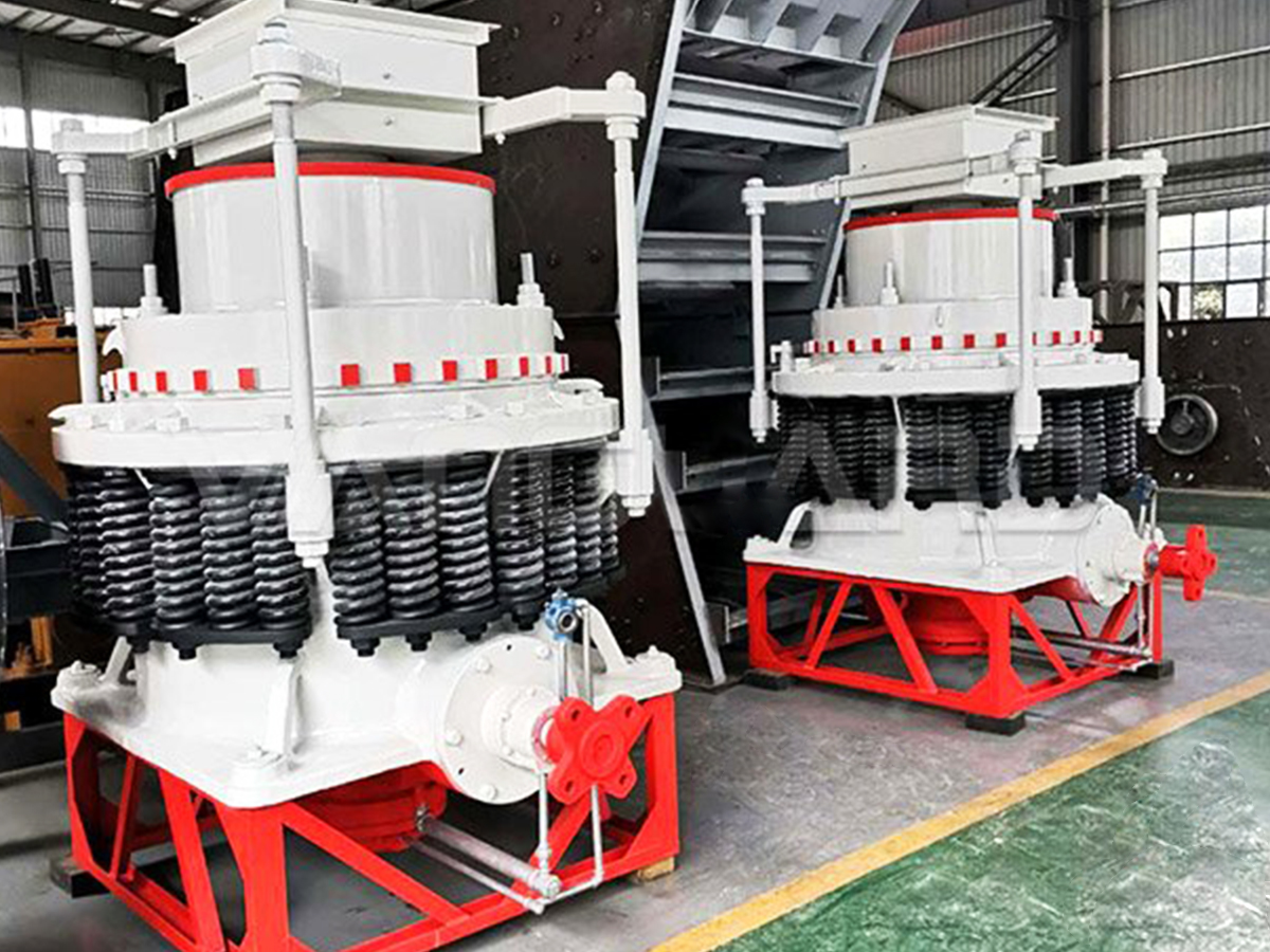 What does the molybdenum ore beneficiation process look out like?